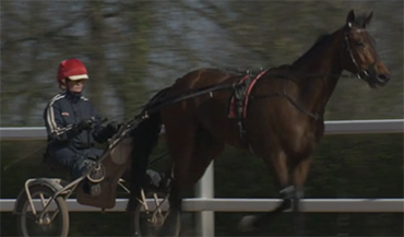 A l’allure du trot